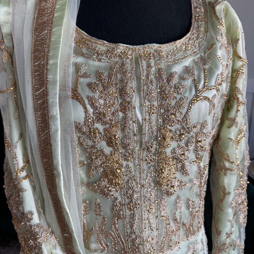 Light Green Indian Net Gown Overlay